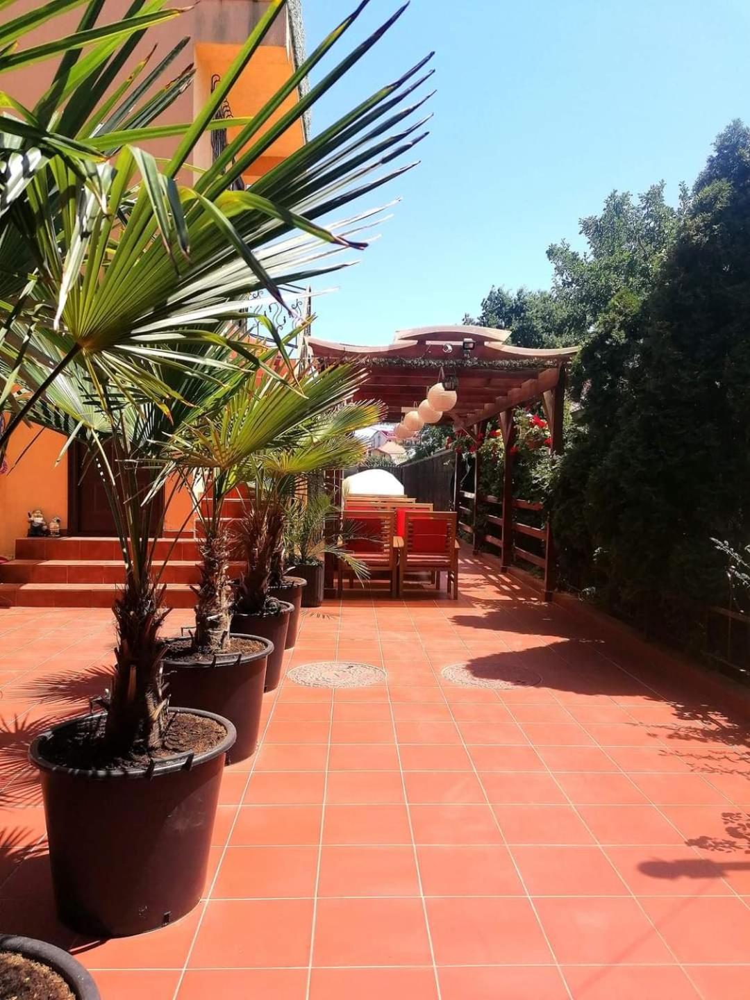 Vila Floarea Etiquette Costinesti Extérieur photo